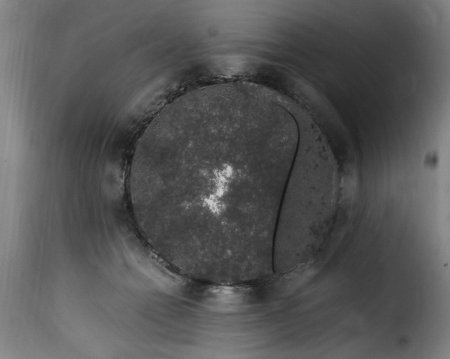 X0000115480558200911201842