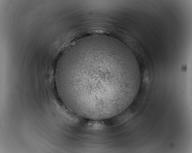 X0000115480559200911201842