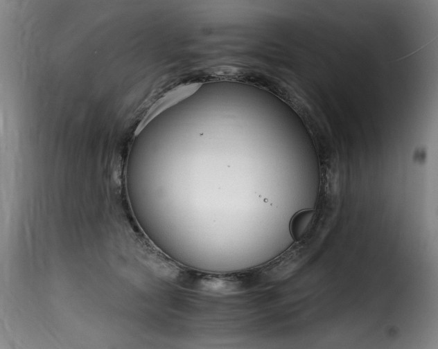 X0000115480561200911201842