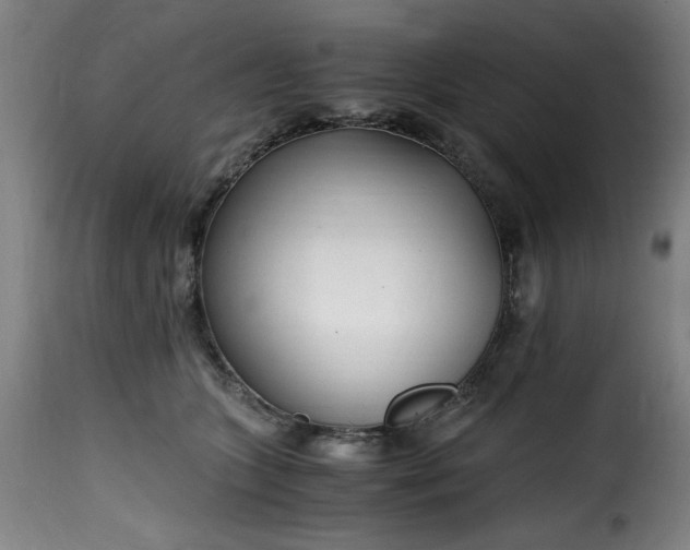 X0000115480563200911201842