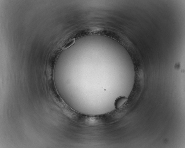 X0000115480565200911201842