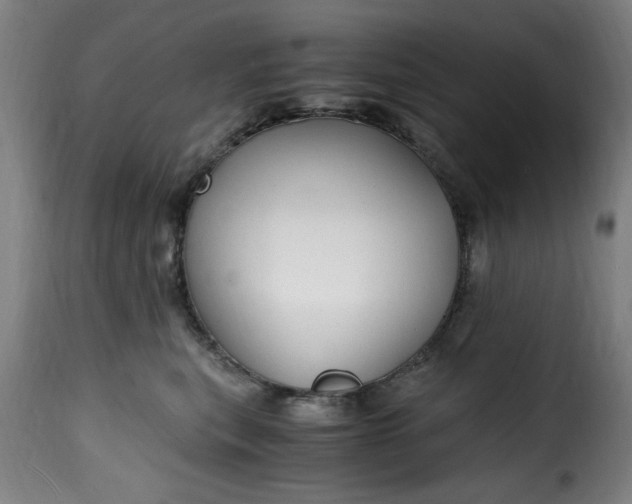 X0000115480567200911201842