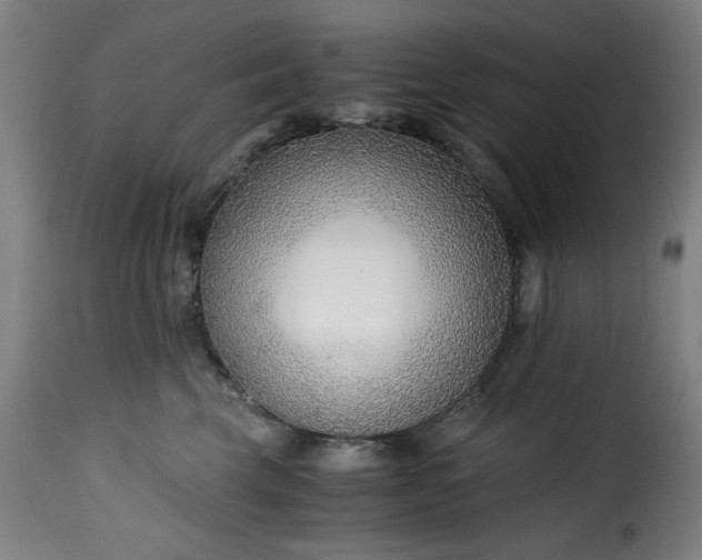 X0000115480569200911201842