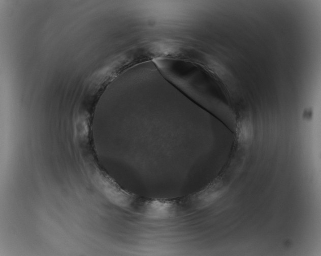 X0000115480570200911201842