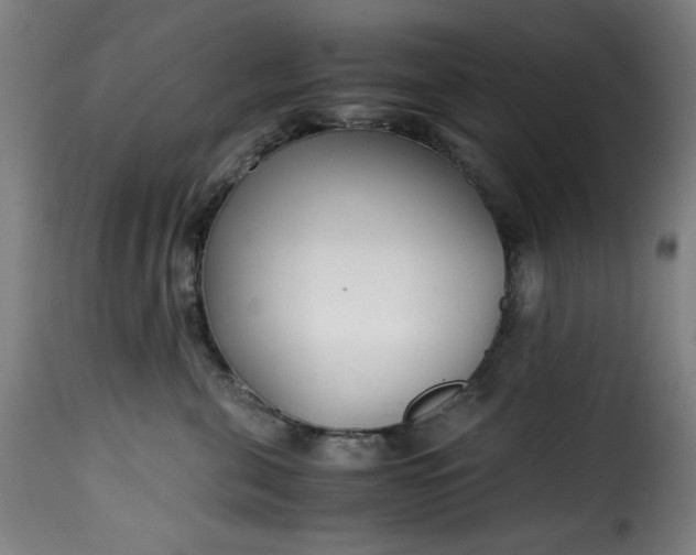 X0000115480571200911201842