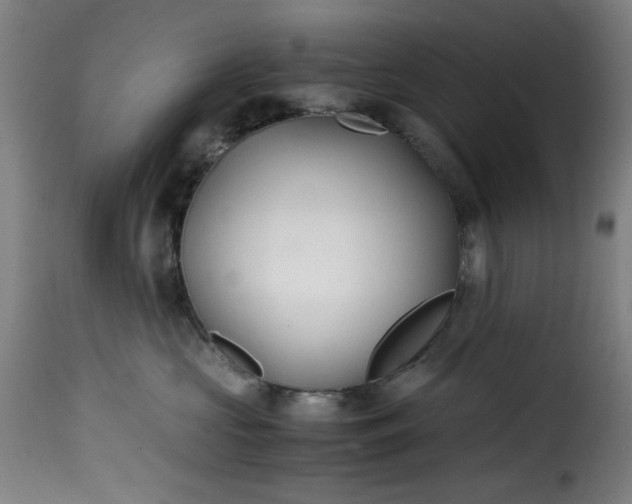 X0000115480573200911201842