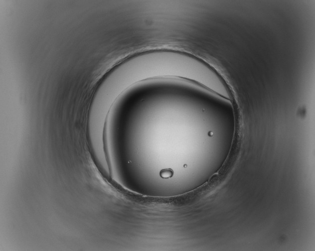 X0000115480577200911201842