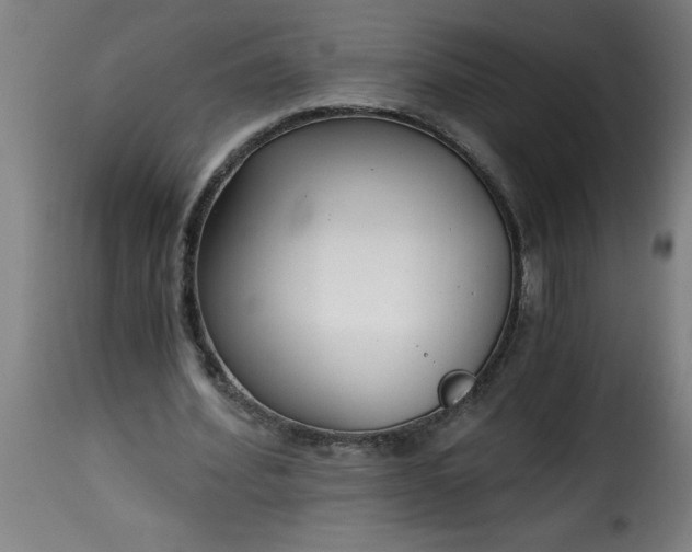 X0000115480580200911201842