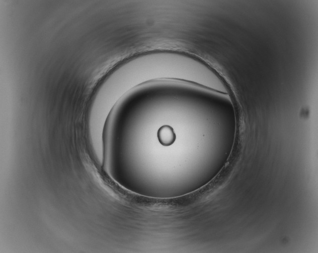 X0000115480581200911201842