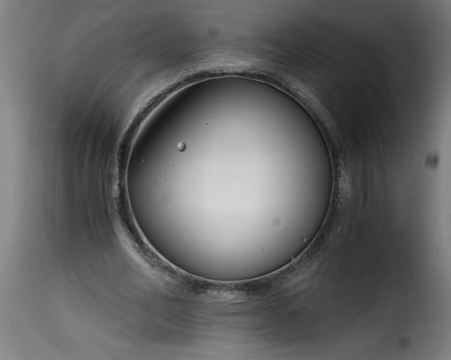 X0000115480582200911201841