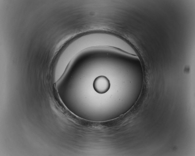 X0000115480583200911201841