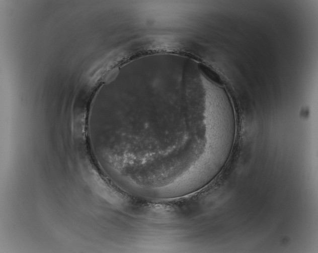 X0000115480585200911201841