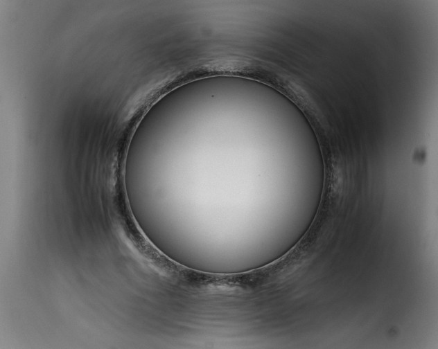 X0000115480586200911201841