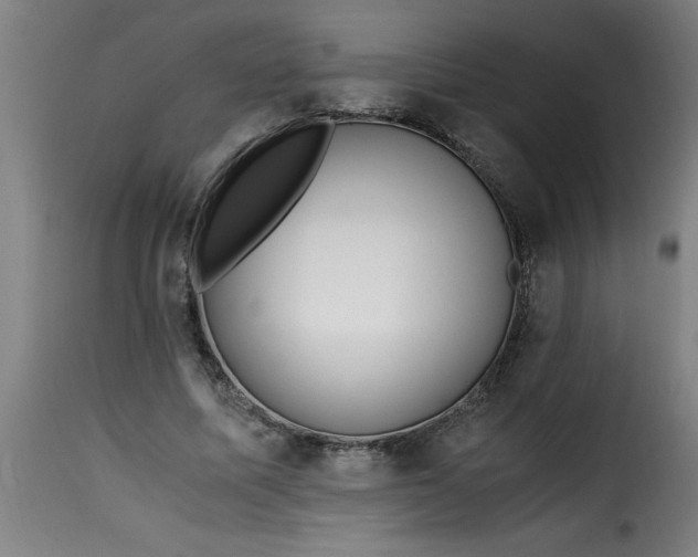 X0000115480587200911201841