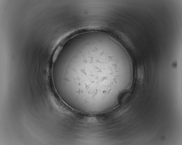 X0000115480588200911201841