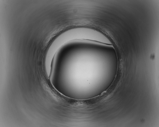 X0000115480589200911201841