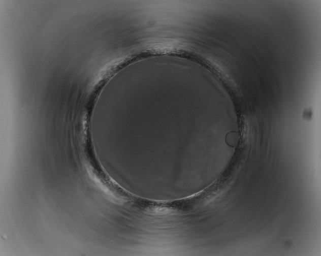 X0000115480590200911201841