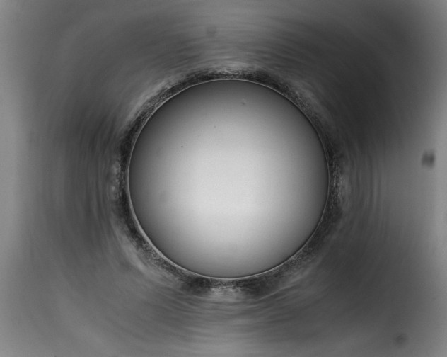 X0000115480591200911201841