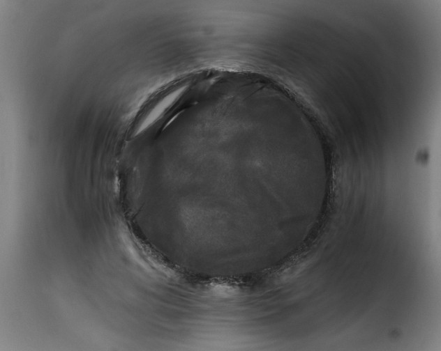 X0000115480592200911201841