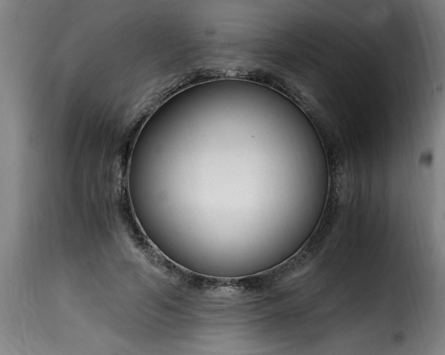 X0000115480594200911201841