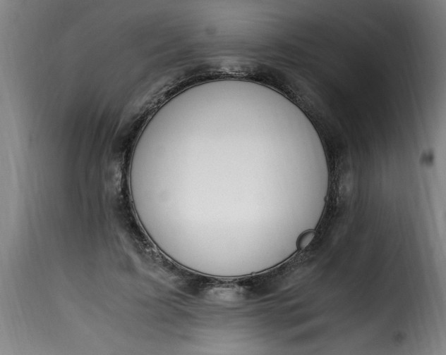 X0000115480595200911201841