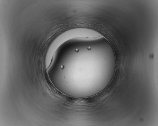 X0000115480599200911201841