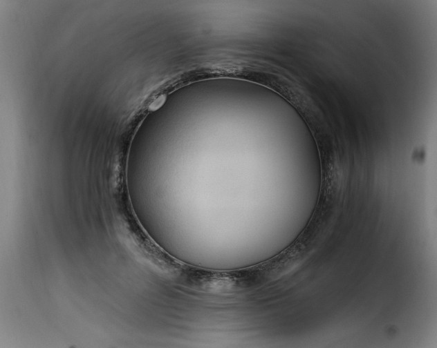 X0000115480600200911201841