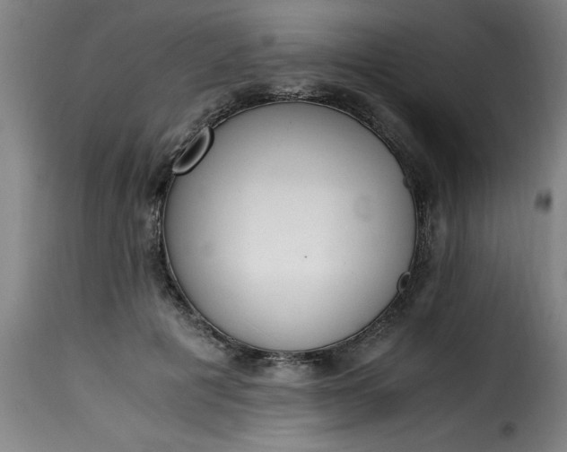 X0000115480601200911201841