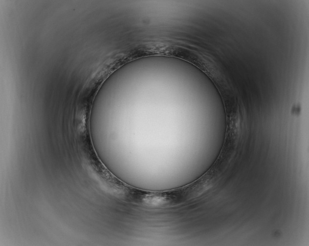 X0000115480602200911201841