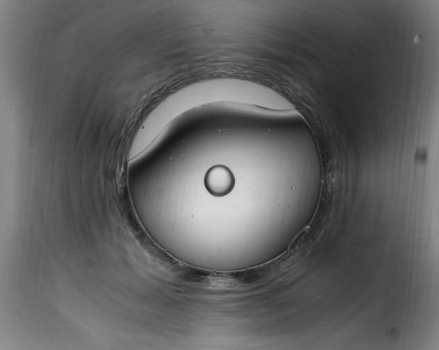 X0000115480605200911201841