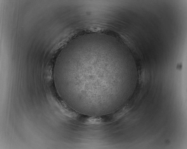 X0000115480606200911201841