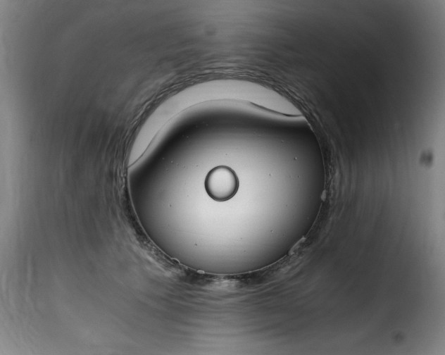 X0000115480609200911201841