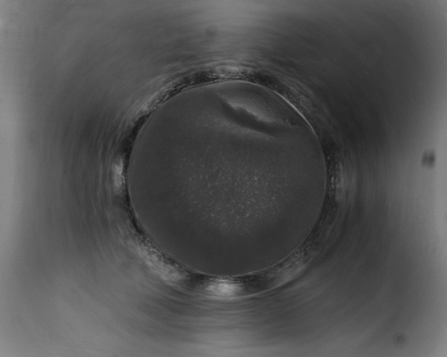 X0000115480610200911201841