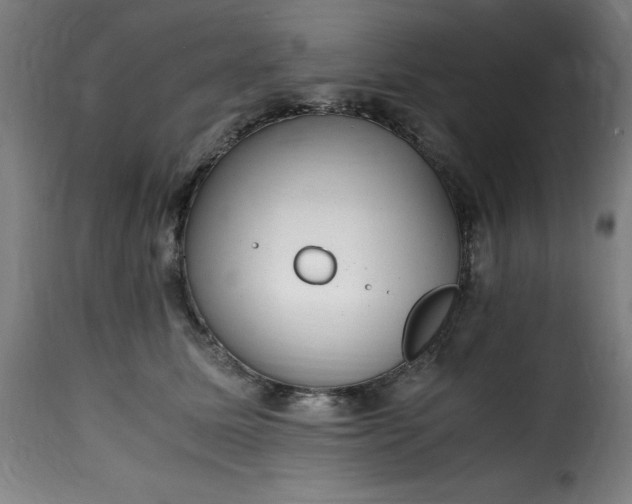 X0000115480611200911201841