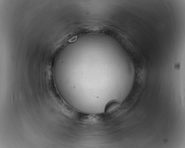 X0000115480612200911201841