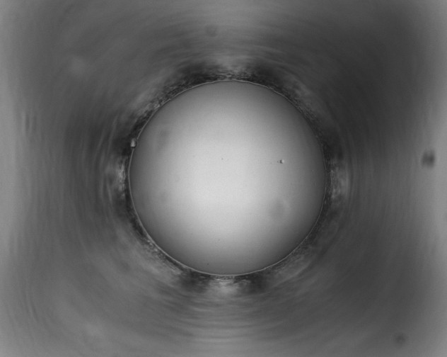 X0000115480613200911201841