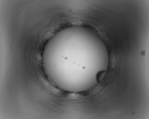 X0000115480614200911201841