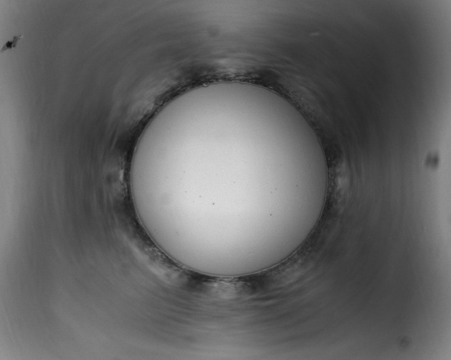 X0000115480615200911201841