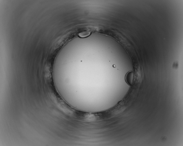 X0000115480616200911201841