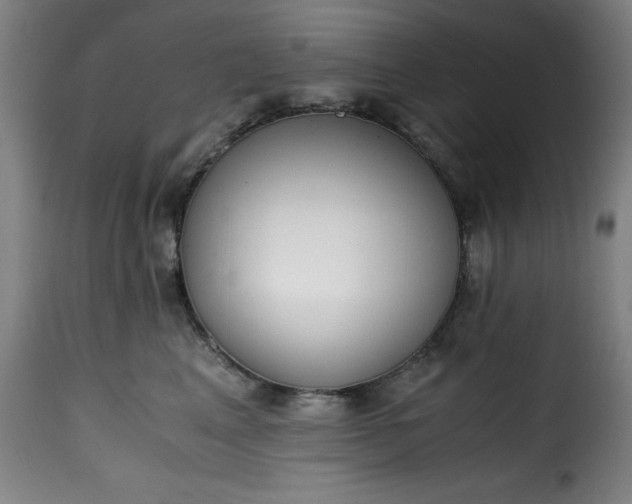 X0000115480617200911201841