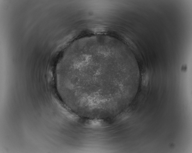 X0000115480618200911201841