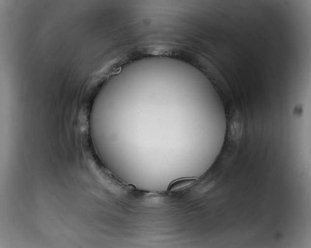 X0000115480620200911201841