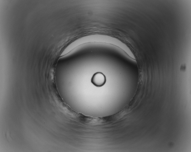 X0000115480621200911201841