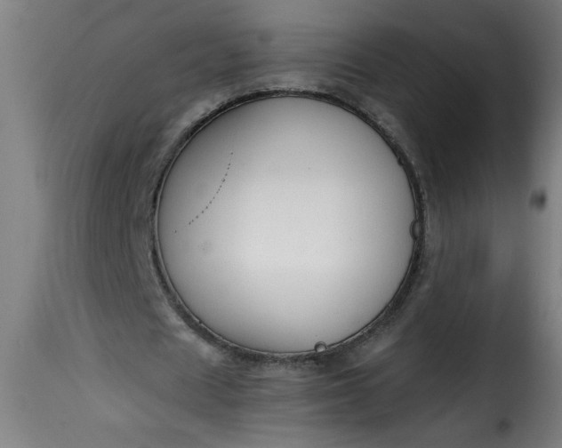 X0000115480625200911201840