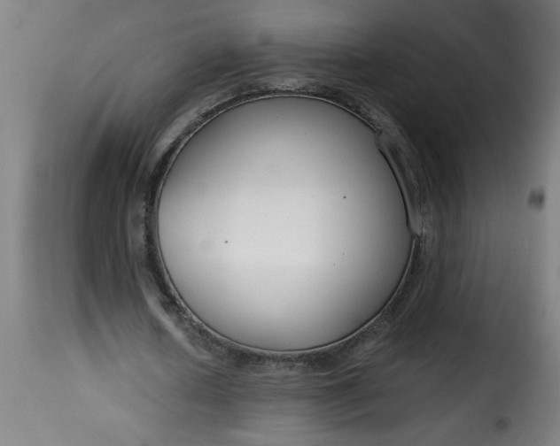 X0000115480626200911201840