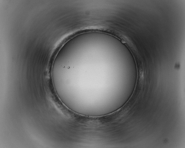 X0000115480628200911201840