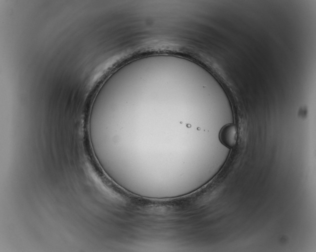 X0000115480629200911201840