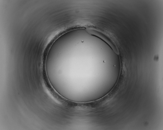 X0000115480630200911201840