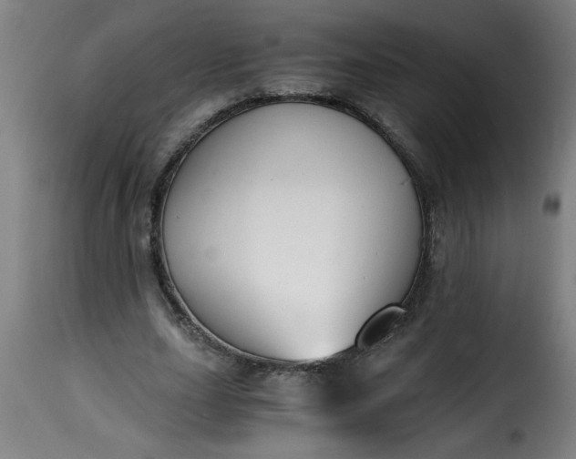 X0000115480631200911201840