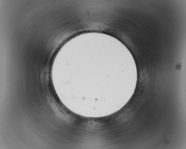 X0000115480632200911201840